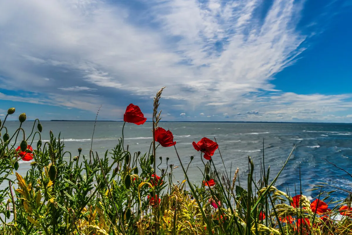Thiessow im Frühling, Rügen