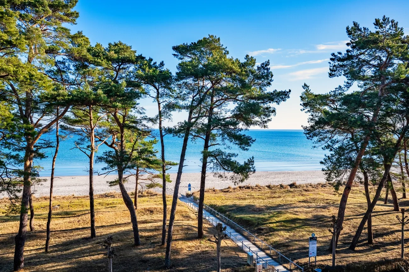 Ausblick Strandidyll 10